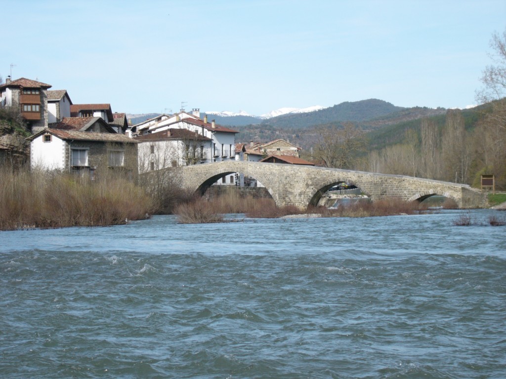 Puente y río 2008 (2)
